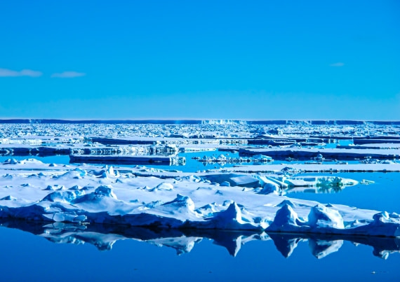 Sea Ice Reflections