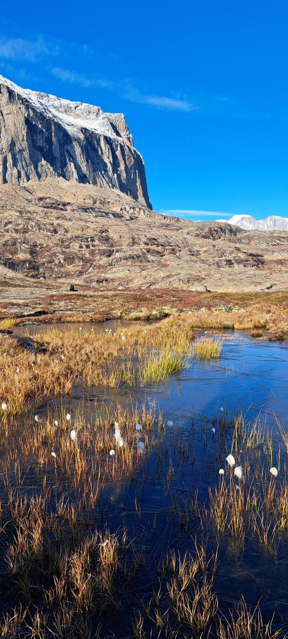 Gorgeous landscape OTL 12-24