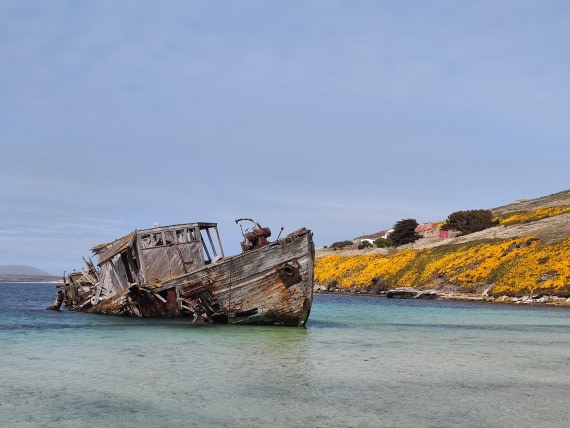 PLA20-24, Day 5, IMG_20241022_115209 © Unknown photographer - Oceanwide Expeditions.jpg