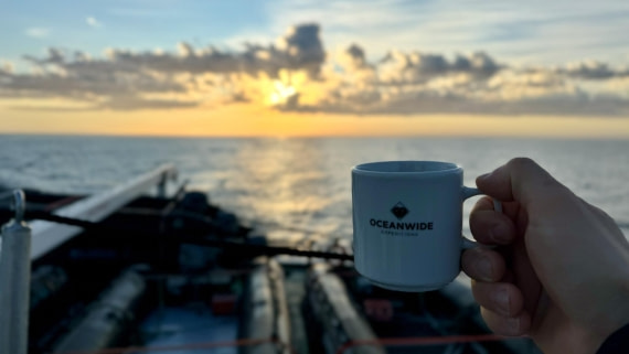 PLA20-24, Day 3, IMG_3498 © Unknown photographer - Oceanwide Expeditions.jpg