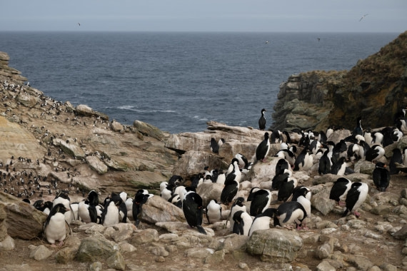 PLA20-24, Day 5, 20241022-8AY_0599 © Unknown photographer - Oceanwide Expeditions.jpg
