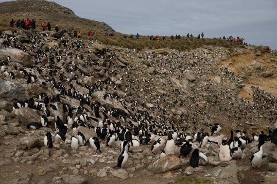 PLA20-24, Day 5, 20241022-8AY_0615 © Unknown photographer - Oceanwide Expeditions.jpg