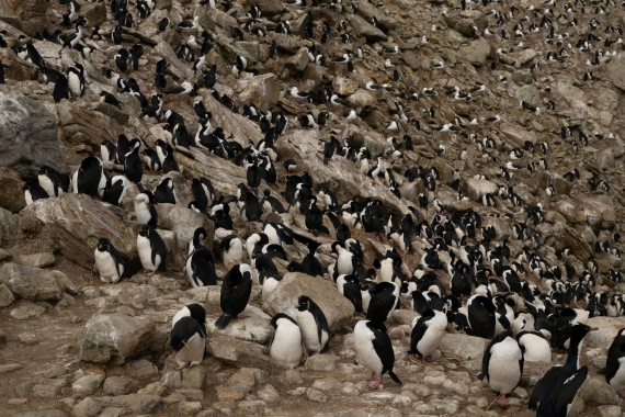 PLA20-24, Day 5, 20241022-8AY_0665 © Unknown photographer - Oceanwide Expeditions.jpg