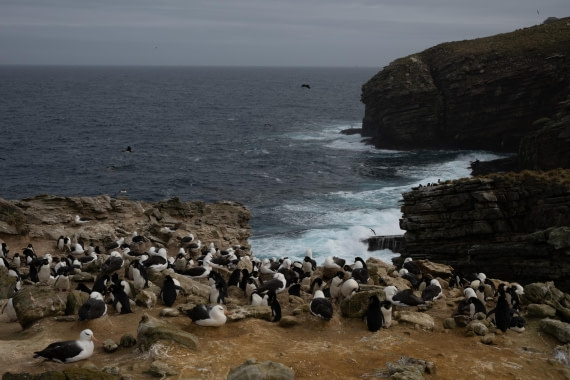 PLA20-24, Day 5, 20241022-8AY_0738 © Unknown photographer - Oceanwide Expeditions.jpg