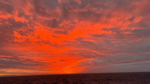 PLA20-24, Day 5, 20241022-IMG_3780 © Unknown photographer - Oceanwide Expeditions.jpg