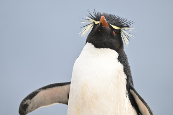 PLA20-24, Day 5, AY8_6907_20241022_6781 © Yves Adams - Oceanwide Expeditions.JPG