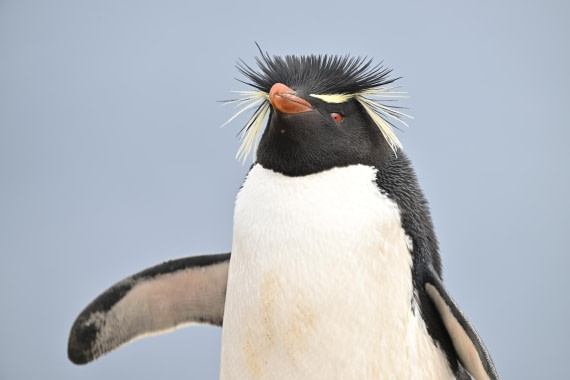 PLA20-24, Day 5, AY8_6926_20241022_6782 © Yves Adams - Oceanwide Expeditions.JPG