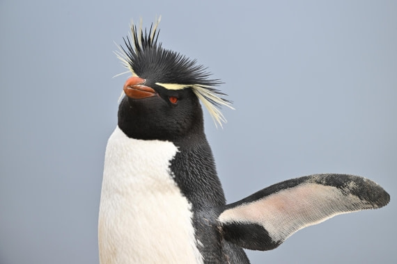 PLA20-24, Day 5, AY8_7638_20241022_6788 © Yves Adams - Oceanwide Expeditions.JPG