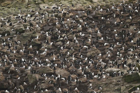 PLA20-24, Day 5, AY8_8112_20241022_6791 © Yves Adams - Oceanwide Expeditions.JPG