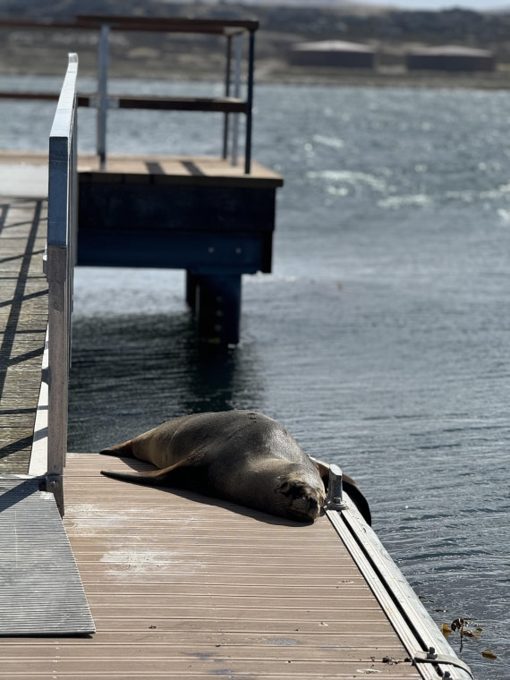 PLA20-24, Day 6, IMG_4524 © Unknown photographer - Oceanwide Expeditions.jpg