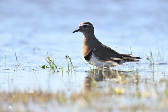PLA20-24, Day 6, YA6_3866_20241023_6866 © Yves Adams - Oceanwide Expeditions.JPG