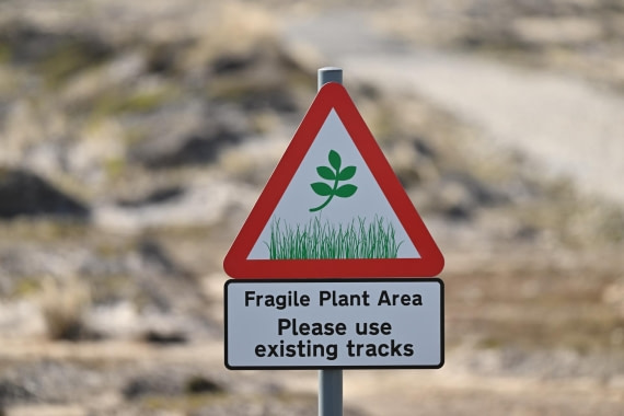 PLA20-24, Day 6, YA6_4697_20241023_6871 © Yves Adams - Oceanwide Expeditions.JPG