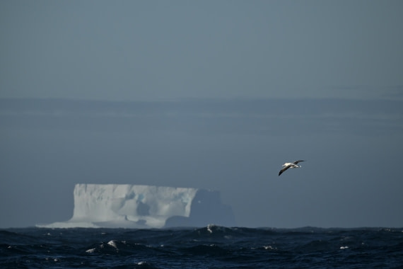 PLA20-24, Day 7, YA6_5839_20241024_6895 © Yves Adams - Oceanwide Expeditions.JPG