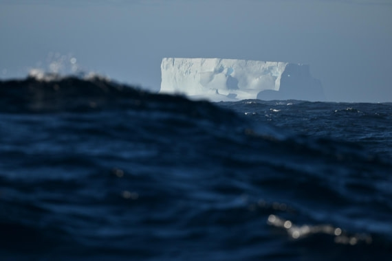 PLA20-24, Day 7, YA6_5920_20241024_6896 © Yves Adams - Oceanwide Expeditions.JPG