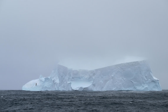 PLA20-24, Day 8, AY8_4785_20241025_7270 © Yves Adams - Oceanwide Expeditions.JPG