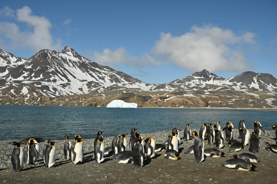 PLA20-24, Day 9, 8AY_0932_20241026_7034 © Yves Adams - Oceanwide Expeditions.JPG