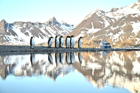 PLA20-24, Day 9, 8AY_1190_20241026_7025_YvesAdams_20241026_7194 © Yves Adams - Oceanwide Expeditions.JPG