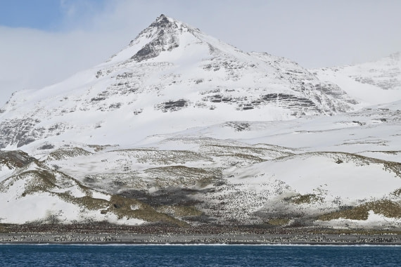PLA20-24, Day 9, AY8_5211_20241026_7033 © Yves Adams - Oceanwide Expeditions.JPG