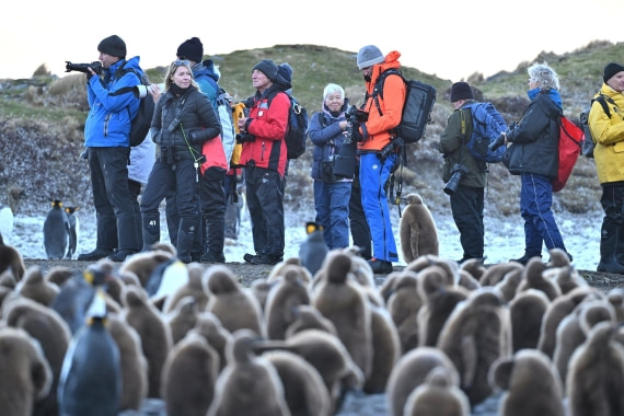 PLA20-24, Day 9, YA6_2243_20241026_7179 © Yves Adams - Oceanwide Expeditions.JPG