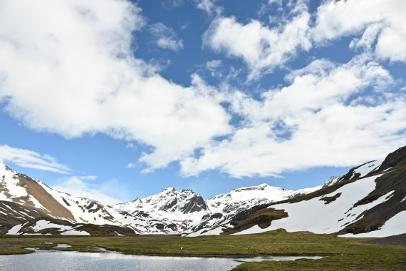 PLA20-24, Day 10, 8AY_1633_20241027_7022 © Yves Adams - Oceanwide Expeditions.JPG