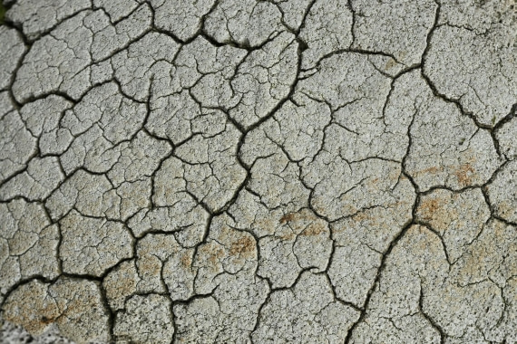 PLA20-24, Day 10, 8AY_1668_20241027_7021 © Yves Adams - Oceanwide Expeditions.JPG