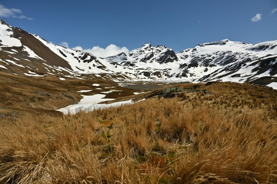 PLA20-24, Day 10, 8AY_1838_20241027_7015 © Yves Adams - Oceanwide Expeditions.JPG