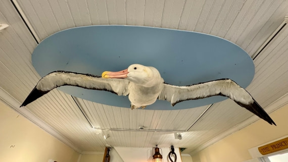 PLA20-24, Day 10, 20241027-IMG_4078 © Unknown photographer - Oceanwide Expeditions.jpg