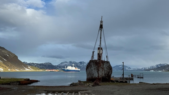 PLA20-24, Day 10, 20241027-IMG_4088 © Unknown photographer - Oceanwide Expeditions.jpg