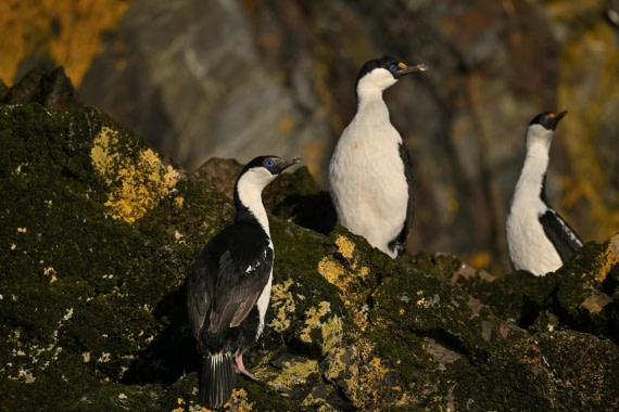 PLA20-24, Day 10, YA6_3293_20241027_7198 © Yves Adams - Oceanwide Expeditions.JPG