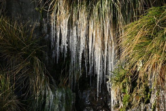 PLA20-24, Day 10, YA6_3358_20241027_7201 © Yves Adams - Oceanwide Expeditions.JPG