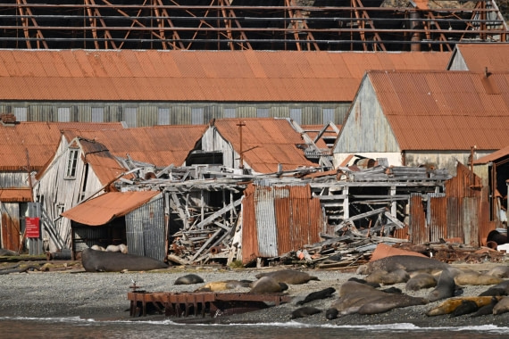 PLA20-24, Day 10, YA6_4727_20241027_7218 © Yves Adams - Oceanwide Expeditions.JPG