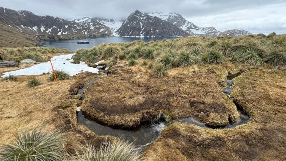 PLA20-24, Day 11, 20241028-IMG_4172 © Unknown photographer - Oceanwide Expeditions.jpg