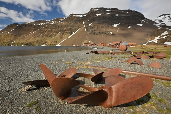 PLA20-24, Day 10, 8AY_1365_20241027_7024 © Yves Adams - Oceanwide Expeditions.JPG