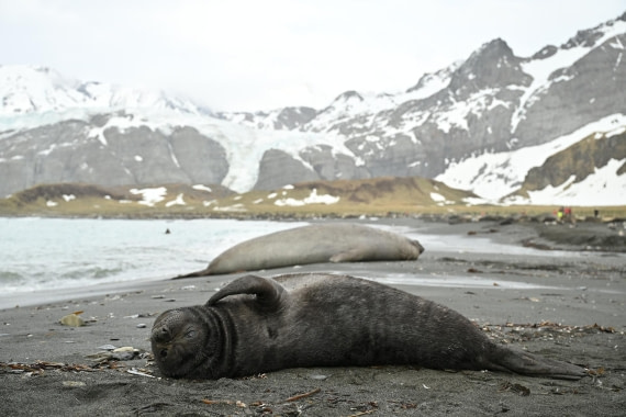 PLA20-24, Day 12, 8AY_4143_20241029_6948 © Yves Adams - Oceanwide Expeditions.JPG
