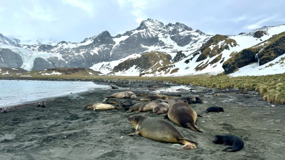 PLA20-24, Day 12, 20241029-IMG_4277 2 © Unknown photographer - Oceanwide Expeditions.jpg