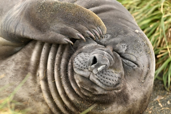 PLA20-24, Day 12, YA6_4089_20241029_6945 © Yves Adams - Oceanwide Expeditions.JPG