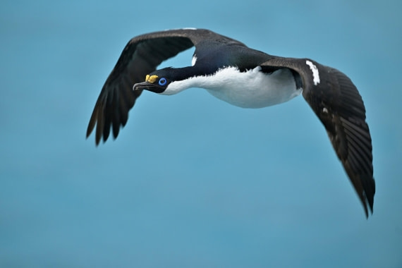 PLA20-24, Day 12, YA6_7490_20241029_7143 © Yves Adams - Oceanwide Expeditions.JPG