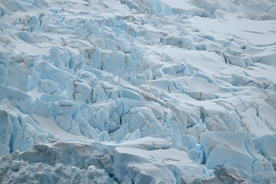 PLA20-24, Day 12, YA6_7651_20241029_7144 © Yves Adams - Oceanwide Expeditions.JPG