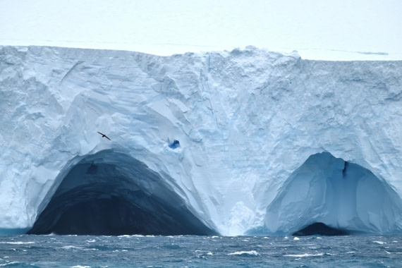 PLA20-24, Day 12, YA6_8929_20241029_7281 © Yves Adams - Oceanwide Expeditions.JPG