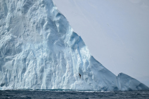 PLA20-24, Day 12, YA6_9045_20241029_7282 © Yves Adams - Oceanwide Expeditions.JPG