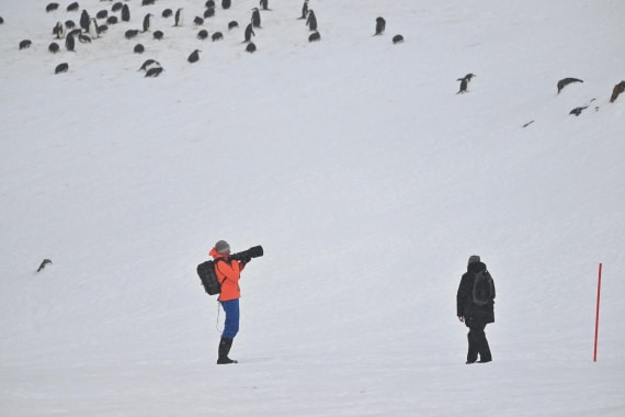 PLA20-24, Day 17, YA6_9798_20241103_7439 © Yves Adams - Oceanwide Expeditions.JPG