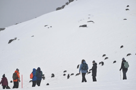 PLA20-24, Day 17, YA6_9803_20241103_7440 © Yves Adams - Oceanwide Expeditions.JPG