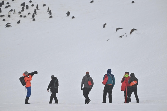 PLA20-24, Day 17, YA6_9808_20241103_7441 © Yves Adams - Oceanwide Expeditions.JPG