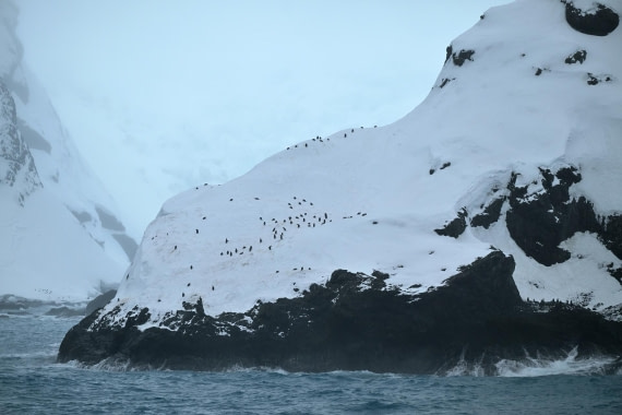 PLA20-24, Day 15, 8AY_4636_20241101_7314 © Yves Adams - Oceanwide Expeditions.JPG