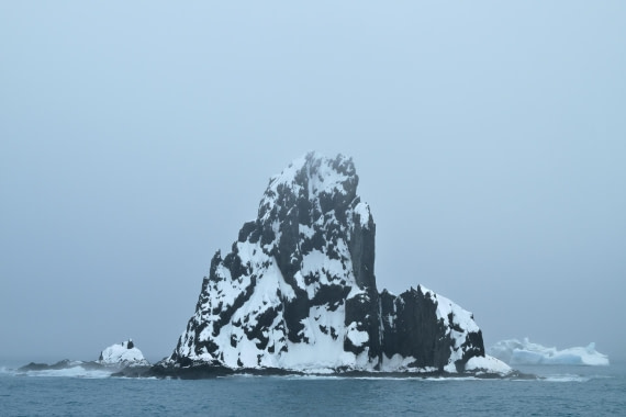 PLA20-24, Day 15, 8AY_4671_20241101_7315 © Yves Adams - Oceanwide Expeditions.JPG