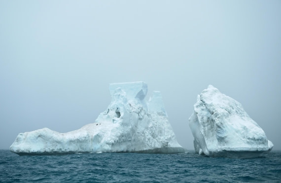 PLA20-24, Day 15, 8AY_5025_20241101_7330 © Yves Adams - Oceanwide Expeditions.JPG