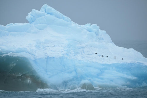 PLA20-24, Day 15, YA6_1643_20241101_7312 © Yves Adams - Oceanwide Expeditions.JPG