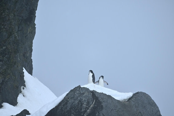 PLA20-24, Day 15, YA6_1986_20241101_7319 © Yves Adams - Oceanwide Expeditions.JPG
