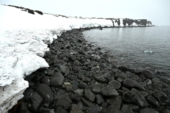 PLA20-24, Day 16, 8AY_5135_20241102_7332 © Yves Adams - Oceanwide Expeditions.JPG