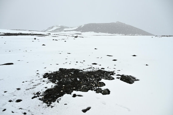 PLA20-24, Day 16, 8AY_5229_20241102_7334 © Yves Adams - Oceanwide Expeditions.JPG